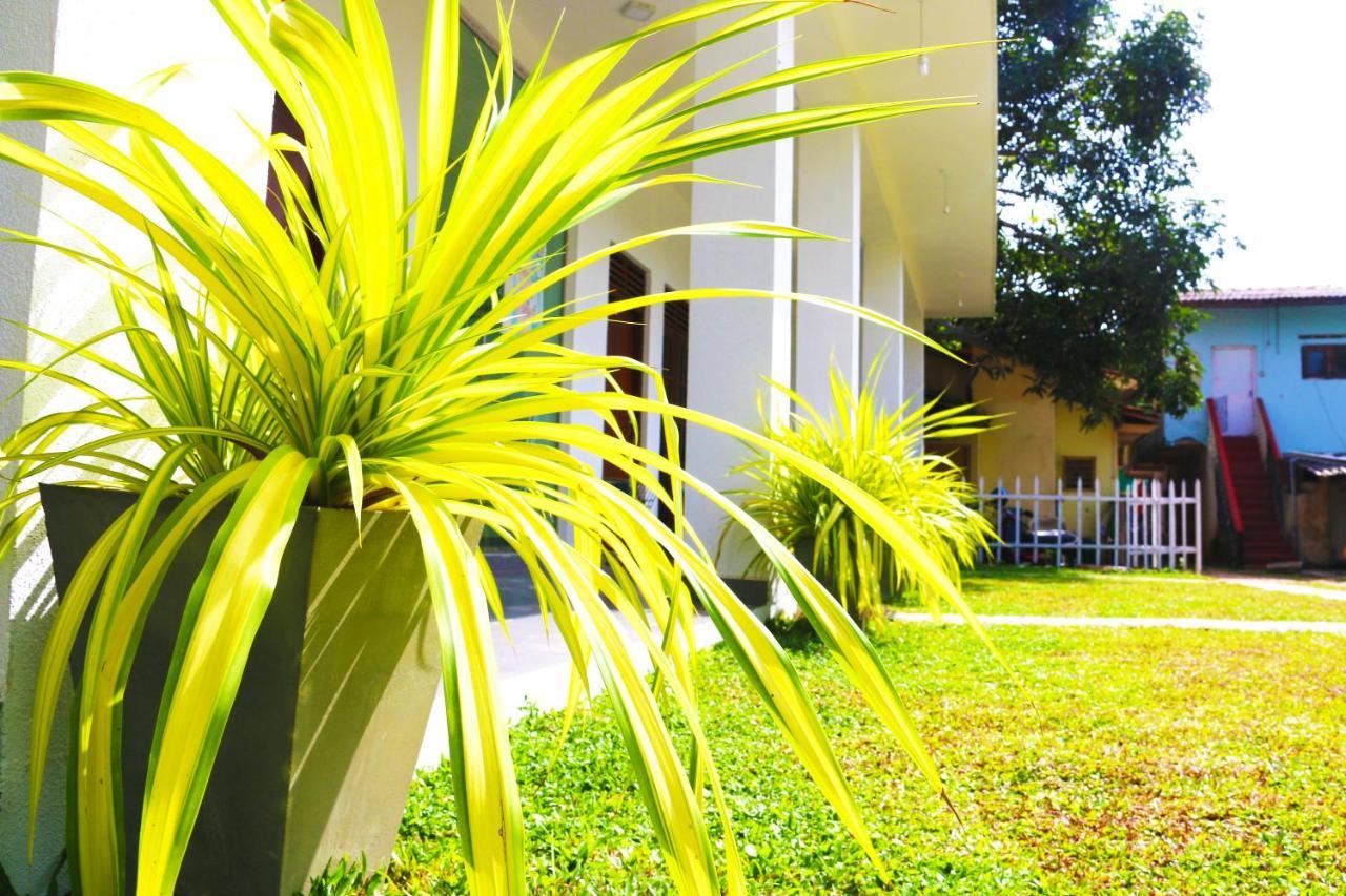 A&B Resort Negombo Kudapaduwa Eksteriør bilde